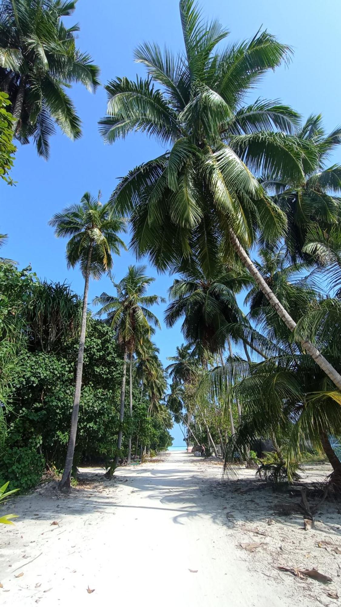 Ahiva Village Fulhadhoo Exteriér fotografie